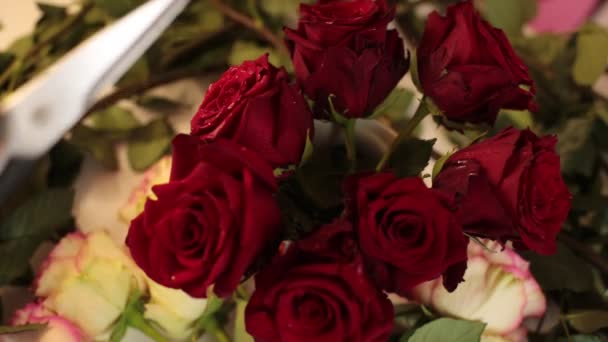 Recolher Buquê Flores Reais Rosas Vermelhas — Vídeo de Stock