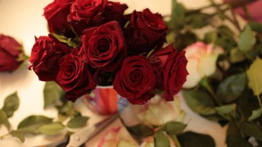 popüler ve favori gül çiçekleri