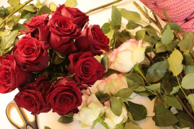 popüler ve favori gül çiçekleri