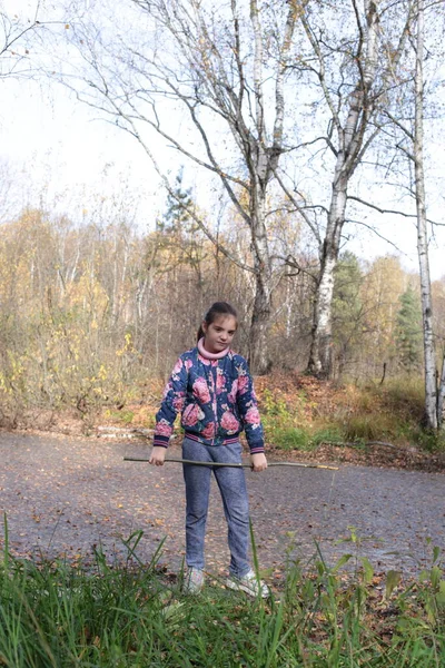 Meisje Herfstwandeling Het Bos — Stockfoto