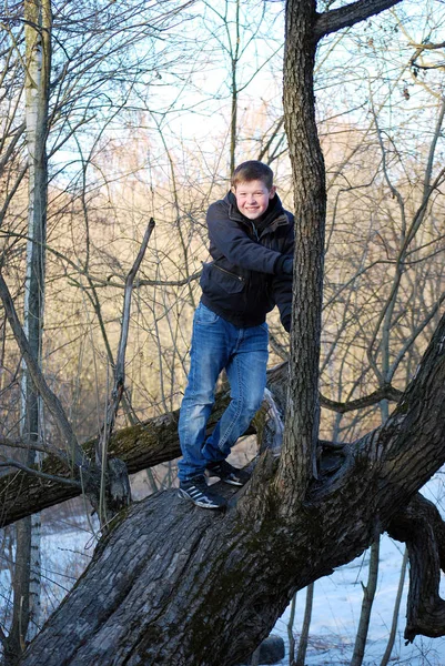The boy the teenager has climbed on a tree outdoors