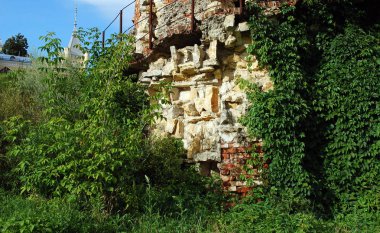 Kyritz'deki Baron von Derviz malikanesinde gözetleme kulesi. Şimdi tüberküloz sanatoryum. Ryazan bölgesi. Rusya.