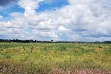 Rus açık alanları. Yaz. Alan.