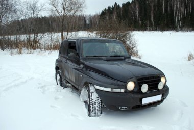 Siyah cip kar tarlasında gidiyor