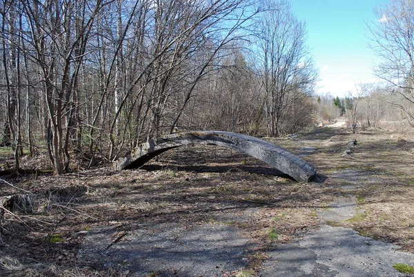 Camino Abandonado Través Del Bosque Unidad Militar Disuelta — Foto de Stock