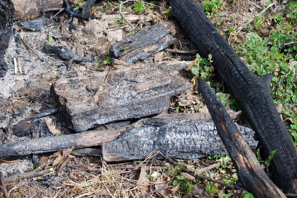 Brasas Fogo Que Permaneceram Floresta Após Piquenique — Fotografia de Stock