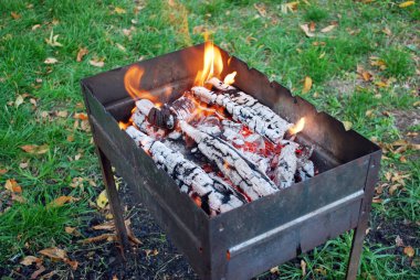 Parkta yanan odunlarla duran ızgara. Şiş kebap hazırlama.
