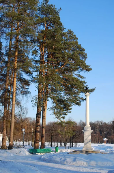 Coluna Comemorativa Honra Alexander Primeiro Propriedade Arkhangelsk — Fotografia de Stock