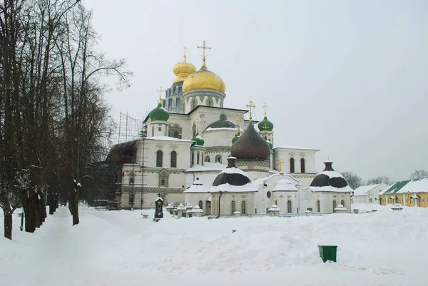 Городской Пейзаж Воскресенский Собор Нового Иерусалимского Монастыря Город Истра Московская — стоковое фото