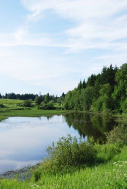 Yaz manzarası. Ormanın yanındaki alanda ayna Gölü.