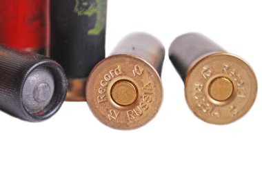 12-gauge av tüfeği kabukları beyaz arka planda, izole.