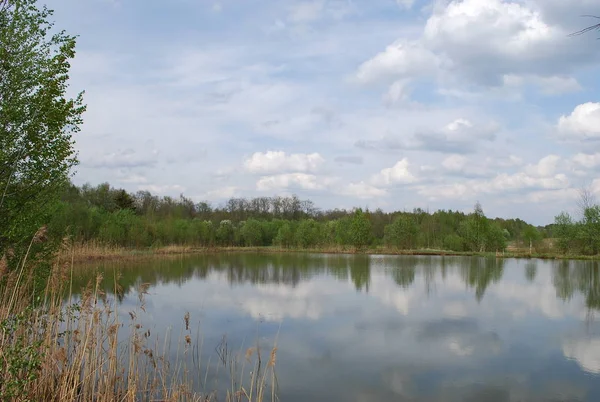 Reflection Clouds Pond Summer Landscape — Stock Photo, Image