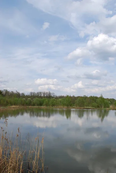 Reflection Clouds Pond — Stock Photo, Image