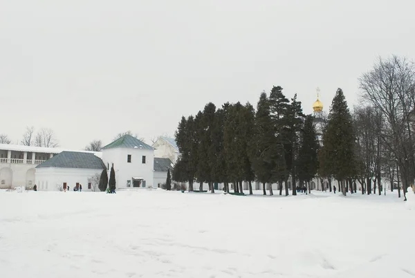Monasterio Nueva Jerusalén Día Invierno Paisaje Nevado Istra Rusia — Foto de Stock