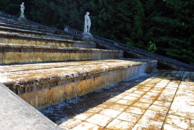 Peterhof Kasabası. - Rusya. 8 Haziran 2013. Kapatın. Çeşme 