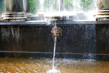 Peterhof. - Rusya. 8 Haziran 2013. Çekicilik. Peterhof Müzesi rezervi. Çeşme 