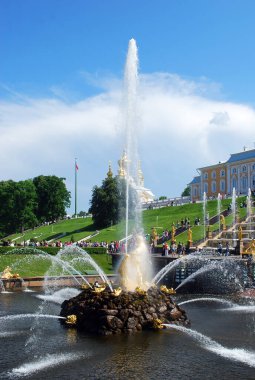 Peterhof. - Rusya. 8 Haziran 2013. Peterhof Müzesi rezervinin cazibesi. Merkez çeşme sarayı ve heykel kompozisyonu 