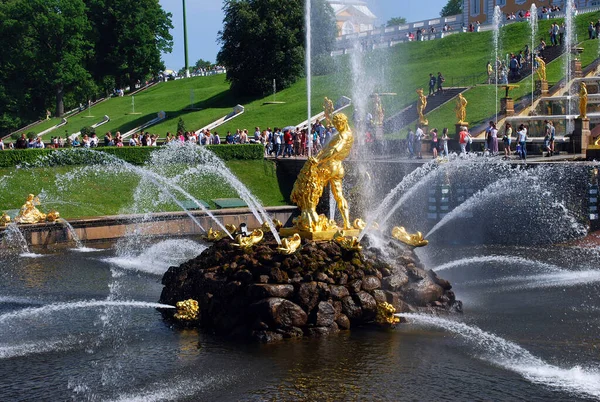 Peterhof Russia June 2013 Attractions Peterhof Museum Reserve Central Fountain — Stock Photo, Image