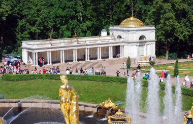 Peterhof Kasabası. - Rusya. 8 Haziran 2013 Peterhof Müzesi rezervinin kırsal kesimleri. Voroninskie sütunları Büyük Deniz Kanalı yakınlarında..