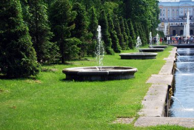 Peterhof Kasabası. - Rusya. 8 Haziran 2013 Peterhof Müzesi rezervleri. Saraydan başlayıp Neva Körfezi 'ne akan 