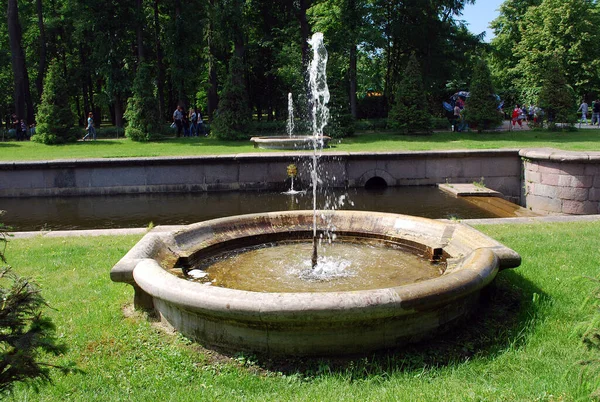 ピーターホフの町 ロシアだ 2013年6月8日ピーターホーフ美術館のアトラクション宮殿からネヴァ湾に流れ込む に沿って小さな噴水が設置されています — ストック写真