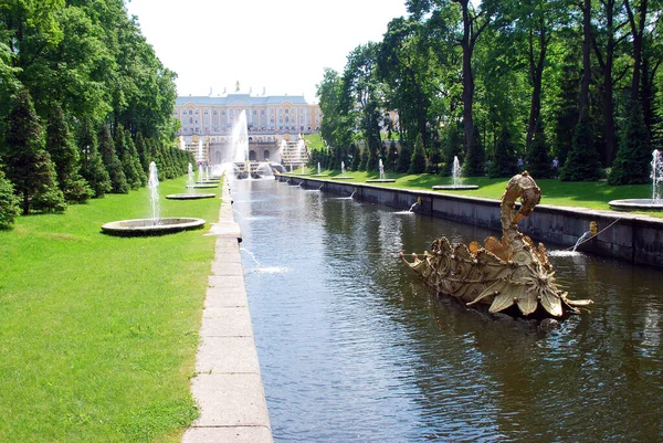 Peterhof Kasabası. - Rusya. 8 Haziran 2013 Peterhof Müzesi rezervinin kırsal kesimleri. Büyük Deniz kanalında Mucize Tekne Altın Kuğu.