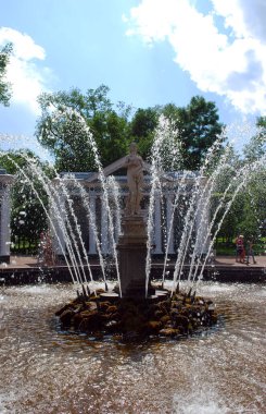 Peterhof Kasabası. - Rusya. 8 Haziran 2013. Peterhof Müzesi rezervinin cazibesi. Fıskiye 