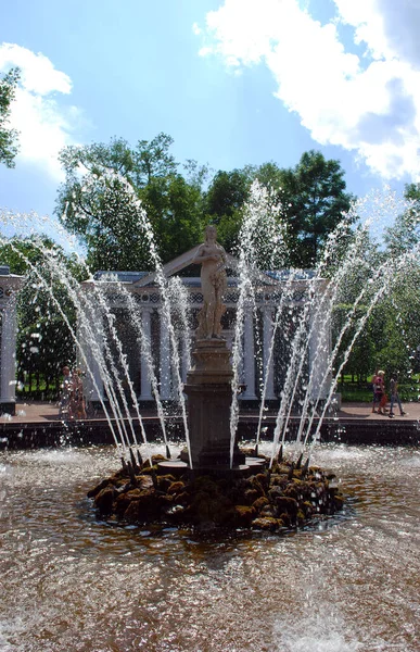 Ville Peterhof Russie Juin 2013 Attractions Musée Réserve Peterhof Fontaine — Photo