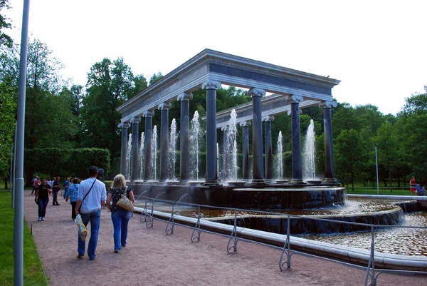 Město Peterhof Rusko Června2013 Atrakce Peterhofovy Muzejní Rezervace Sloupce Kašny — Stock fotografie