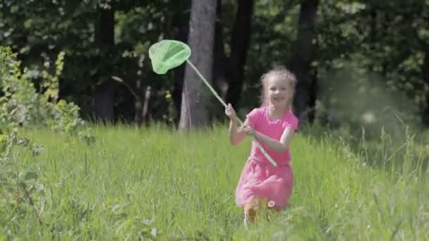Criança com uma rede de borboleta correndo em uma clareira florestal — Vídeo de Stock
