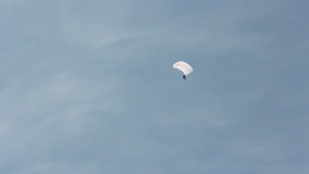 Un uomo si paracaduta a terra. Volo con paracadute — Video Stock
