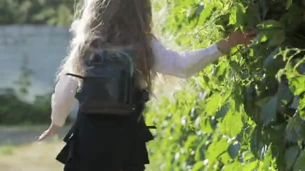 Маленькая забавная школьница в школьной форме и портфеле на плечах бежит в школу — стоковое видео
