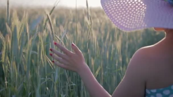 Frau in hellem Kleid und Hut, auf dem Feld mit Getreidepflanzen spazierend, berührt die Weizenähren — Stockvideo