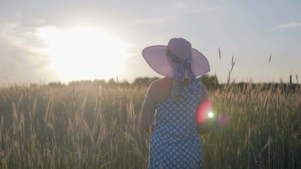 Портрет щасливої жінки в легкій сукні і капелюсі. Дівчина гуляє на полі з рослинами на заході сонця — стокове відео