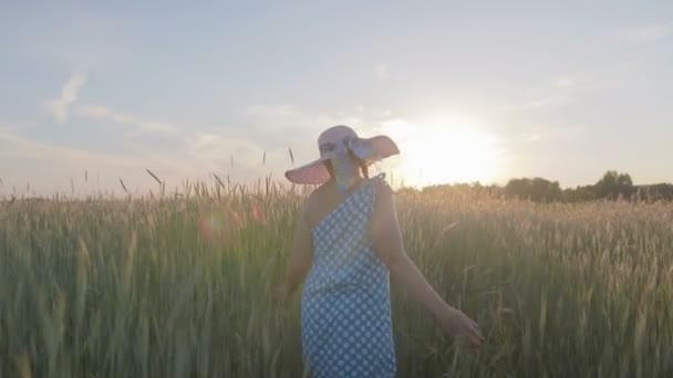 Porträtt av en lycklig kvinna i en ljus klänning och hatt. Flickan går på fältet med spannmålsväxter vid solnedgången — Stockvideo