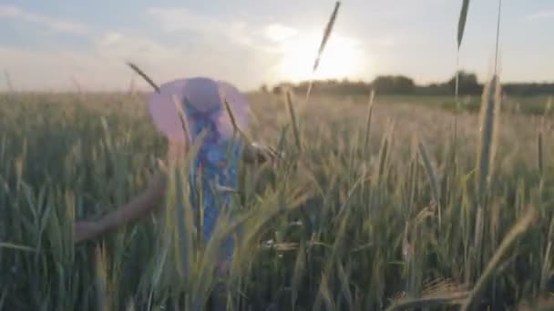Portréja egy boldog nő a könnyű ruha és kalap. A lány sétál a mező, a kalászos naplementekor — Stock videók