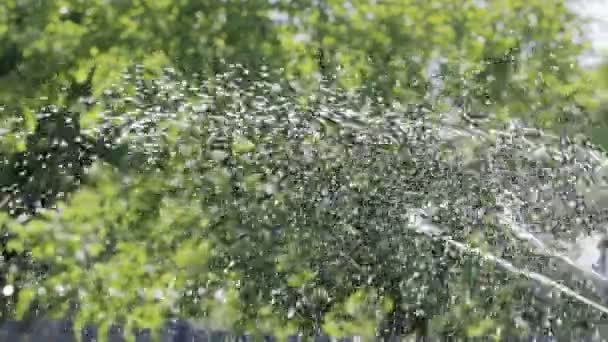 Dispositivo para regar el jardín, jardín, césped, macizos de flores — Vídeos de Stock