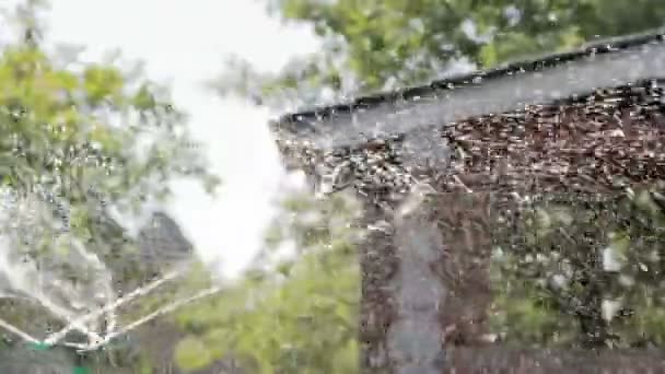 Gerät zur Bewässerung von Garten, Garten, Rasen, Blumenbeeten — Stockvideo