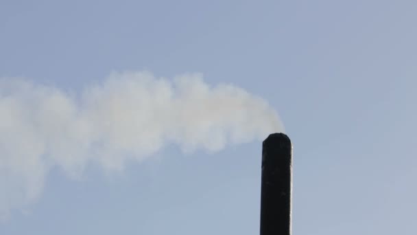 회색 연기가 검은 파이프에서 온다. 대기 오염입니다. 환경 문제. — 비디오