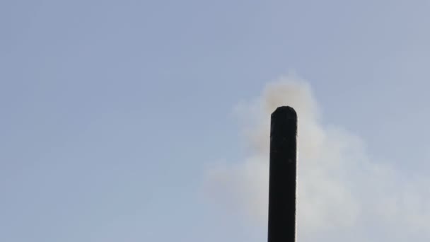 De grijze rook komt uit de zwarte pijp. Luchtverontreiniging. Milieuprobleem. — Stockvideo