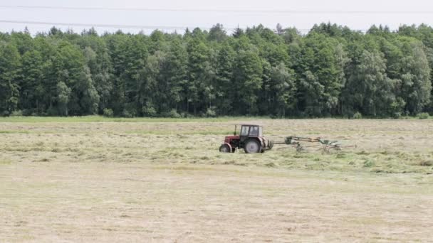 El tractor gira el rastrillo de heno mecánico — Vídeos de Stock