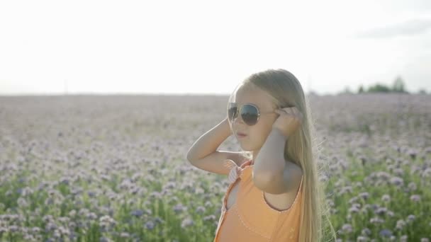 Fille essayer sur les lunettes de soleil — Video