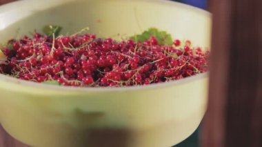 Sundurma korkuluk üzerinde kırmızı kuş üzümü bir hasat kapasiteli
