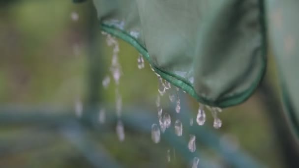 Kapky deště padají, dowpour — Stock video