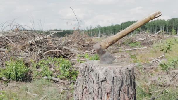 森林伐採、切り株の上に斧 — ストック動画