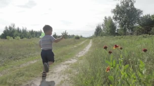 Een vrolijk jongetje wordt uitgevoerd met een net voor een vlinder — Stockvideo