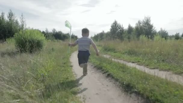 En glad liten pojke körs med ett nät för en fjäril — Stockvideo