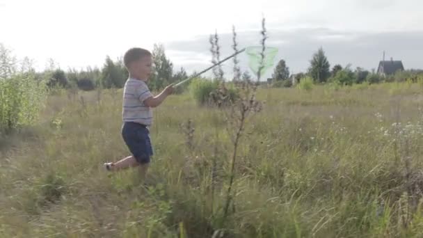 Pojken är att fånga fjärilar med en fjärilshåv. — Stockvideo