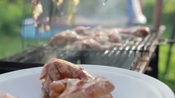 Het meisje voert de vleugels van de grill met een vork in de plaat — Stockvideo