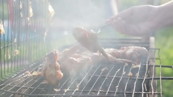 The girl puts the wings of the grill with a fork in the plate — Stock Video